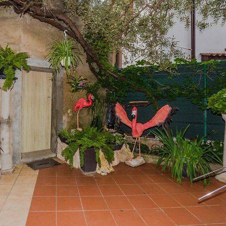 Apartmán Naomi Zadar Exteriér fotografie